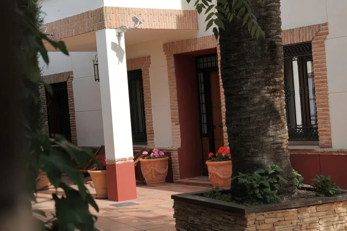 Patio con palmera y porche de columnas