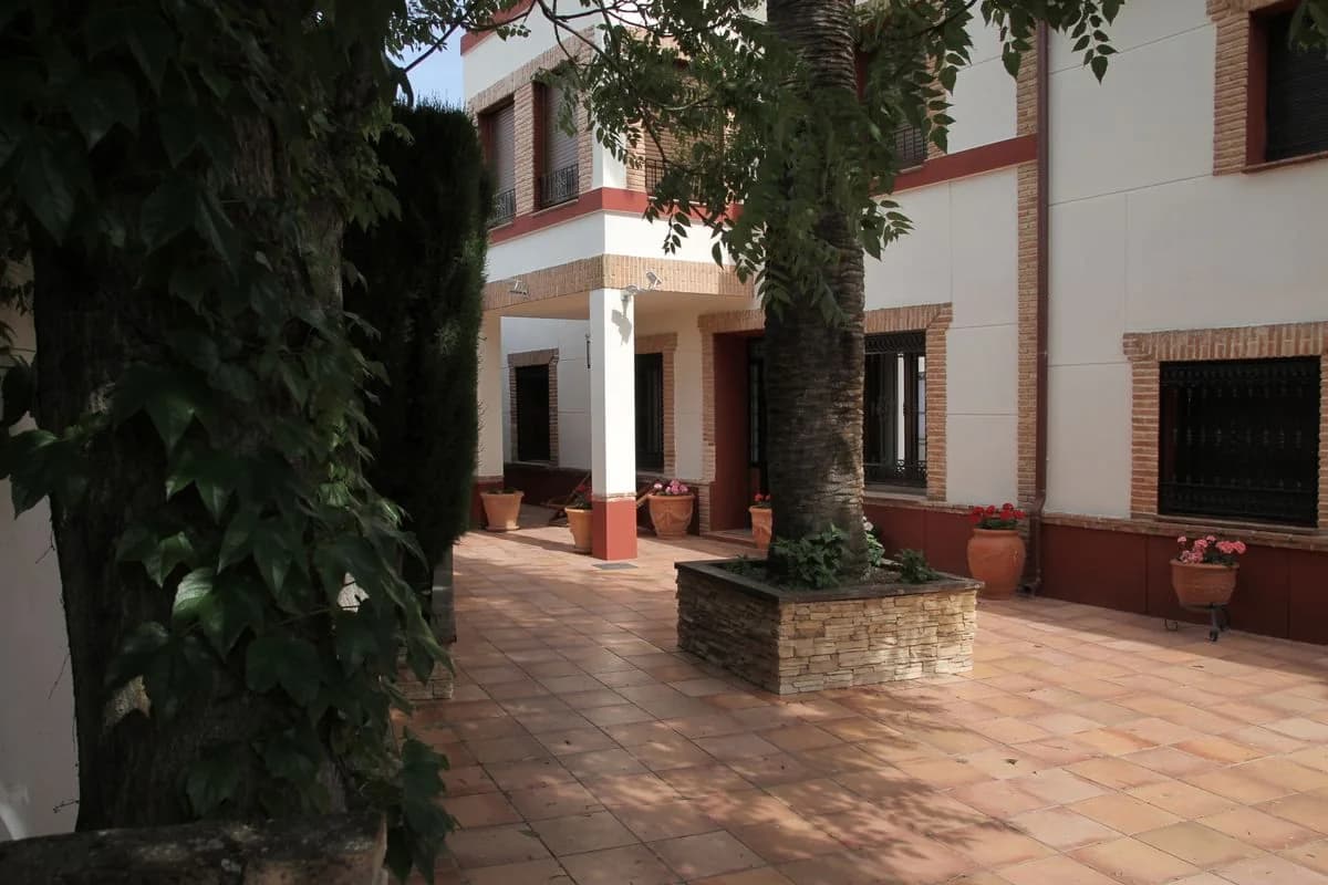 Patio interior con árbol, suelo de barro y fachada blanca