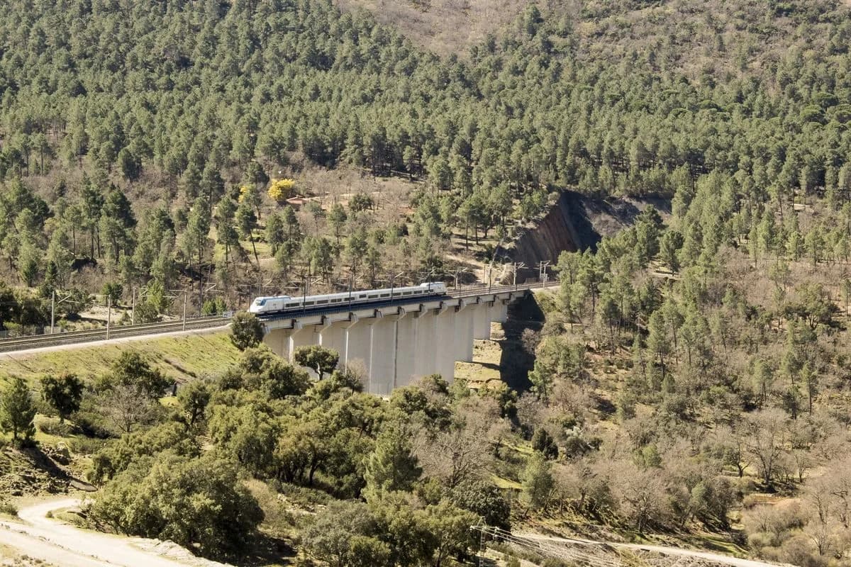 Tren cruzando un viaducto entre montes