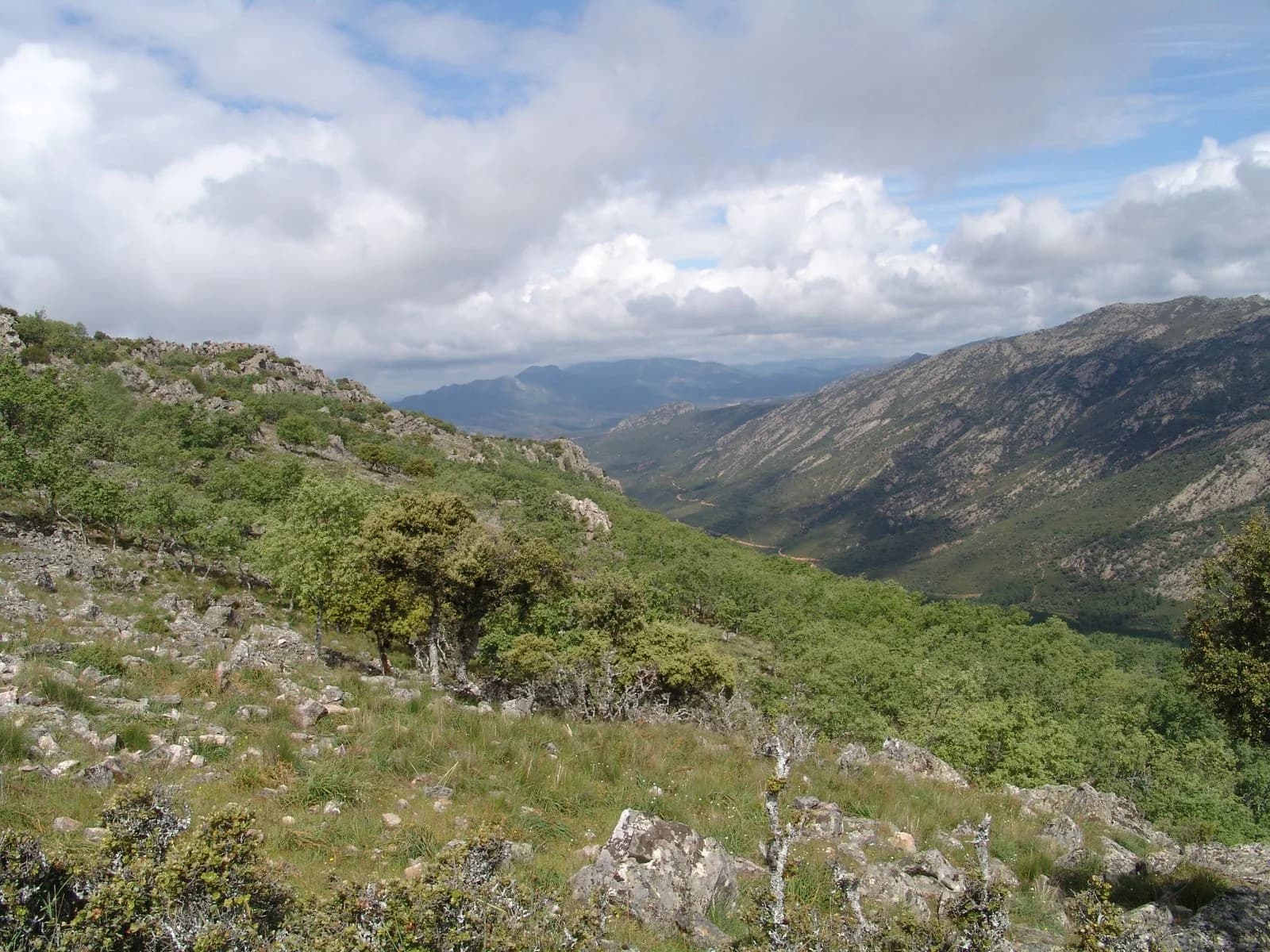 Sierras de Navalmanzano, vistas desde el valle