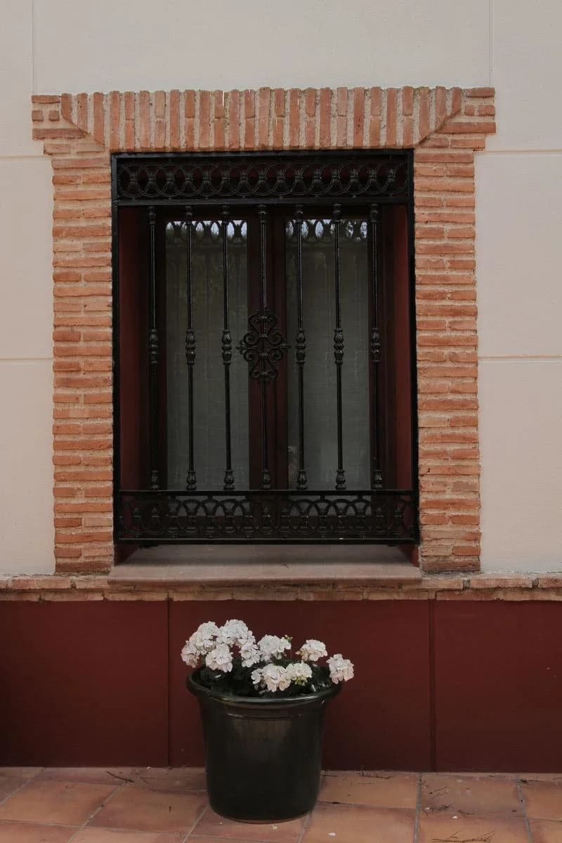 Ventana con reja y macetas de flores