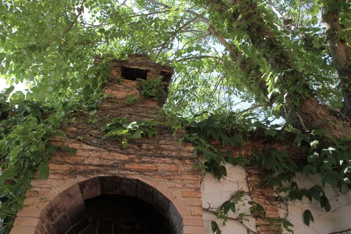 Barbacoa de obra de ladrillo cubierta de enredadera en el patio de Tres Ventas