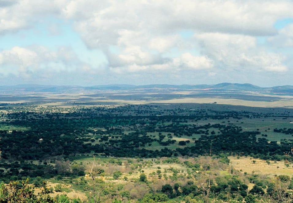 Vista del valle de Alcudia a comienzos de la década de 1980